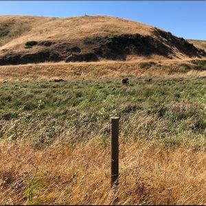 Meet your Posher, Larissa